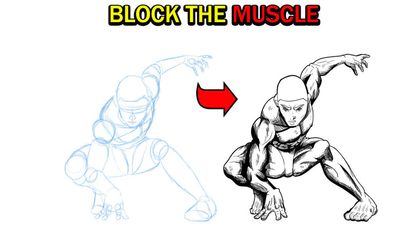 How to Draw Manga Anatomy: The Geometric Blueprint Guide